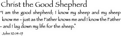 Shepard Quote